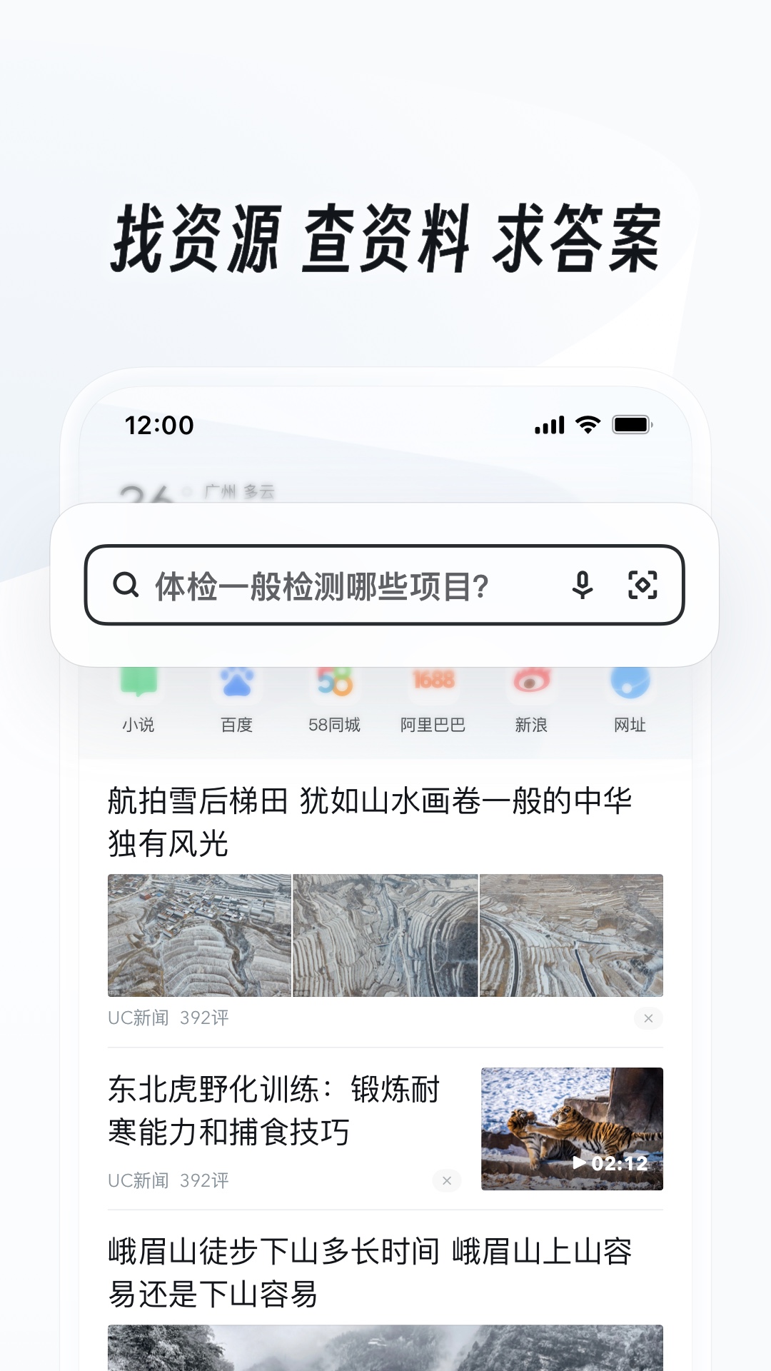 最适合做伴侣犬的狗品种截图